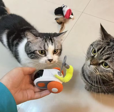 Pet Interactive Electric Car Toy